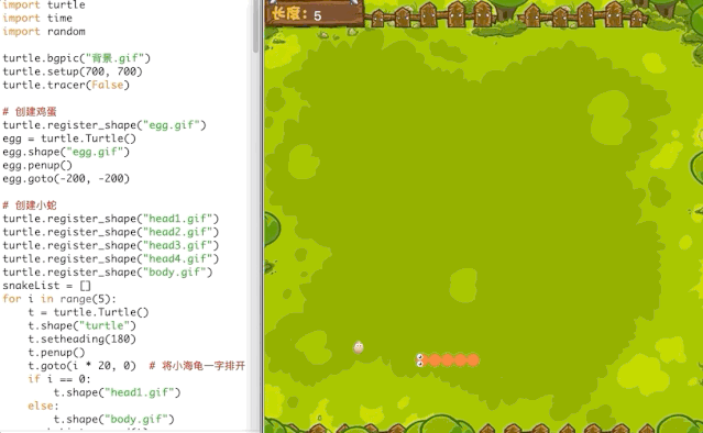 Python中考必考,AI入卷!青岛中考2026巨变,全国教育改革提前剧透! 第4张