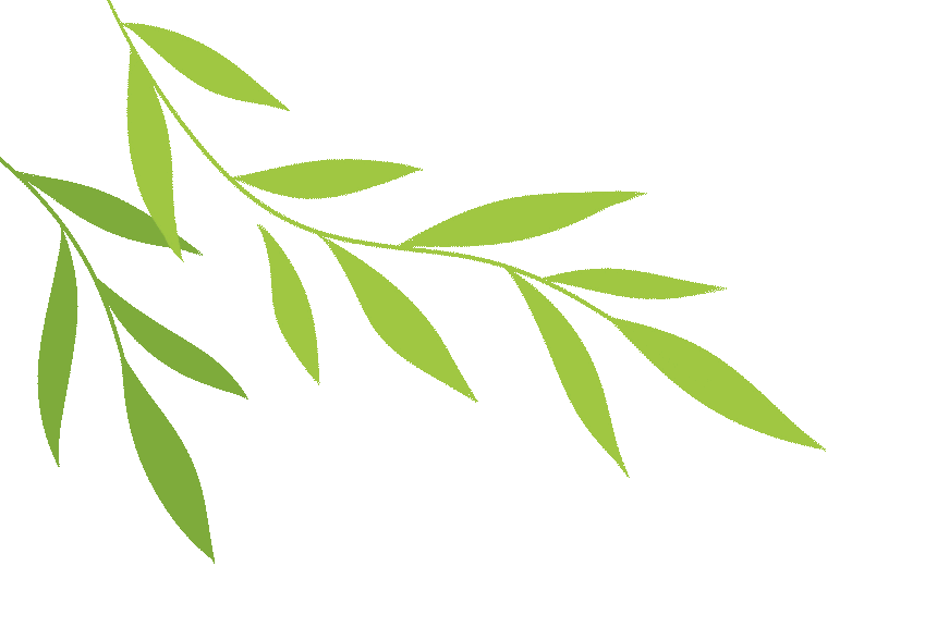 齐聚研讨凝智慧 深耕课堂备中考——渌口区初中英语、地理、体育、道德与法治学科研讨活动在渌口区五中初中部圆满举办 第3张