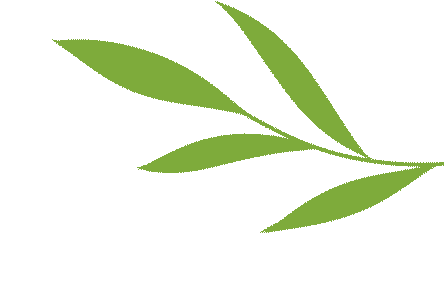 齐聚研讨凝智慧 深耕课堂备中考——渌口区初中英语、地理、体育、道德与法治学科研讨活动在渌口区五中初中部圆满举办 第6张