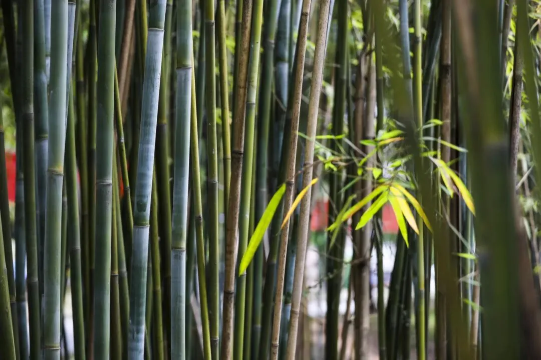 4月6日,三水中学与您相约中考咨询会 第11张