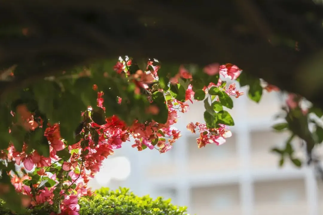 4月6日,三水中学与您相约中考咨询会 第12张