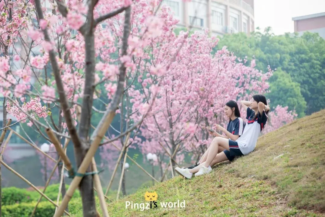 4月6日,三水中学与您相约中考咨询会 第14张