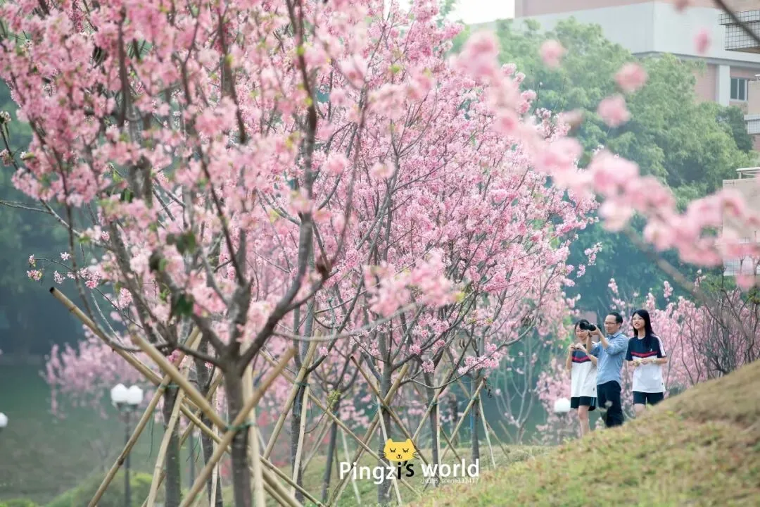 4月6日,三水中学与您相约中考咨询会 第15张