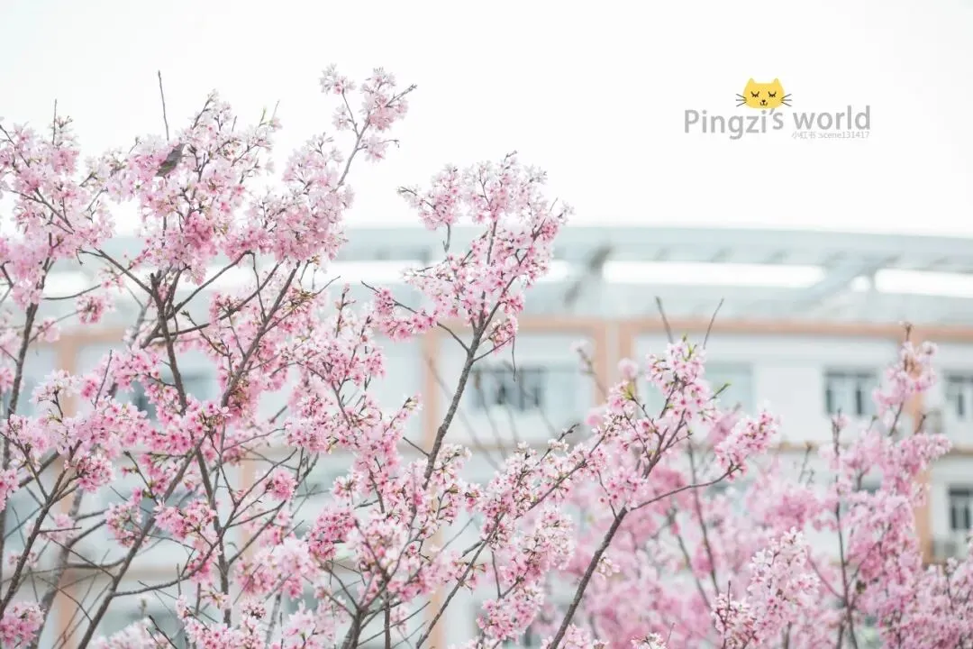 4月6日,三水中学与您相约中考咨询会 第17张