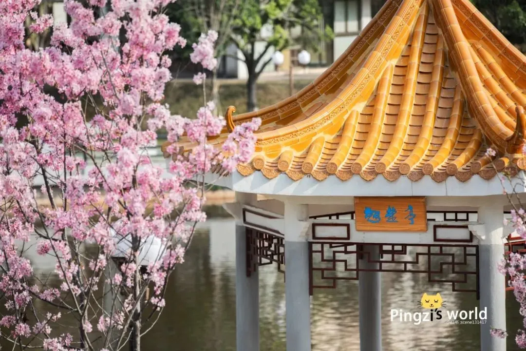 4月6日,三水中学与您相约中考咨询会 第18张