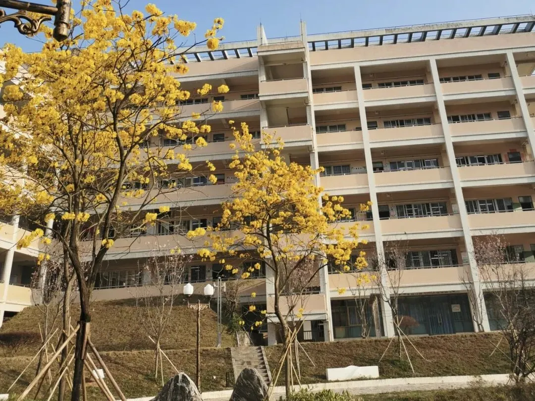 4月6日,三水中学与您相约中考咨询会 第19张