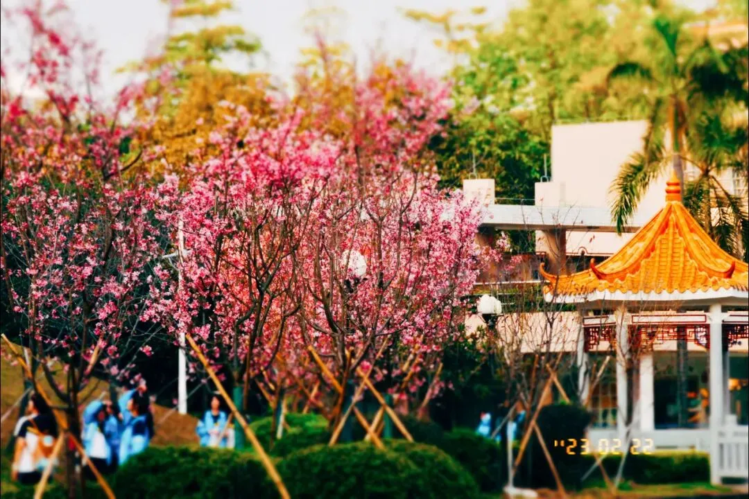 4月6日,三水中学与您相约中考咨询会 第22张