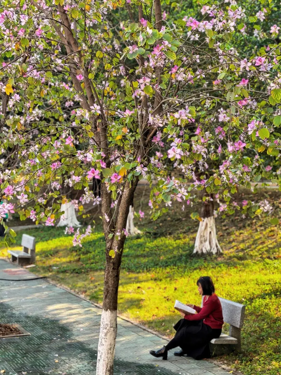 4月6日,三水中学与您相约中考咨询会 第25张