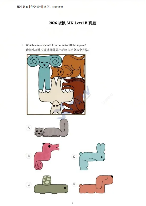 2026年袋鼠数学A-F级真题答案解析,中小学的家长快自行领取! 第5张