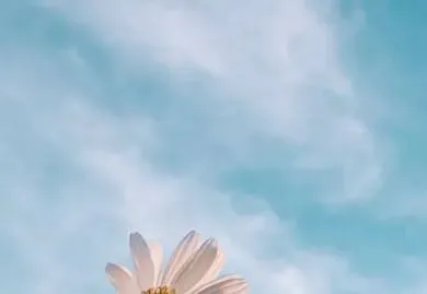 中考模拟作文七:《放弃了——我收获了——》审题指导及范文示例 第2张