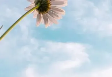 中考模拟作文七:《放弃了——我收获了——》审题指导及范文示例 第3张