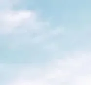 中考模拟作文七:《放弃了——我收获了——》审题指导及范文示例 第7张