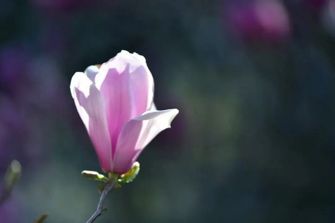 想不到高三清明假期数学作业只有一张试卷 第5张