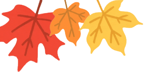 初三家长必听:中考志愿・初高衔接・国际赛道 | 4月11日西外附校讲座 第2张