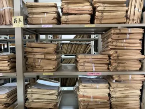 【系部动态】规范药学试卷归档,精筑专业教学基石——医学院药学系完成2025-2026-1学期分类整理入库工作 第5张