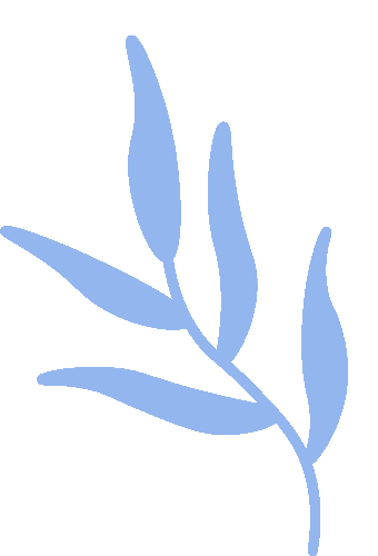 2026南京华杯赛月底开考!附历年真题+答案解析 第3张