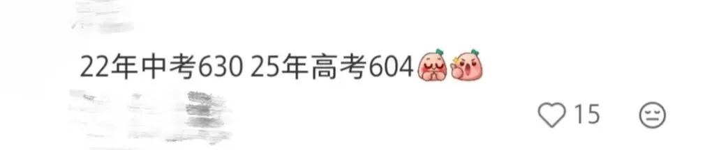 在苏州中考650分左右,高考能考什么大学? 第3张