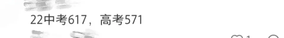 在苏州中考650分左右,高考能考什么大学? 第9张