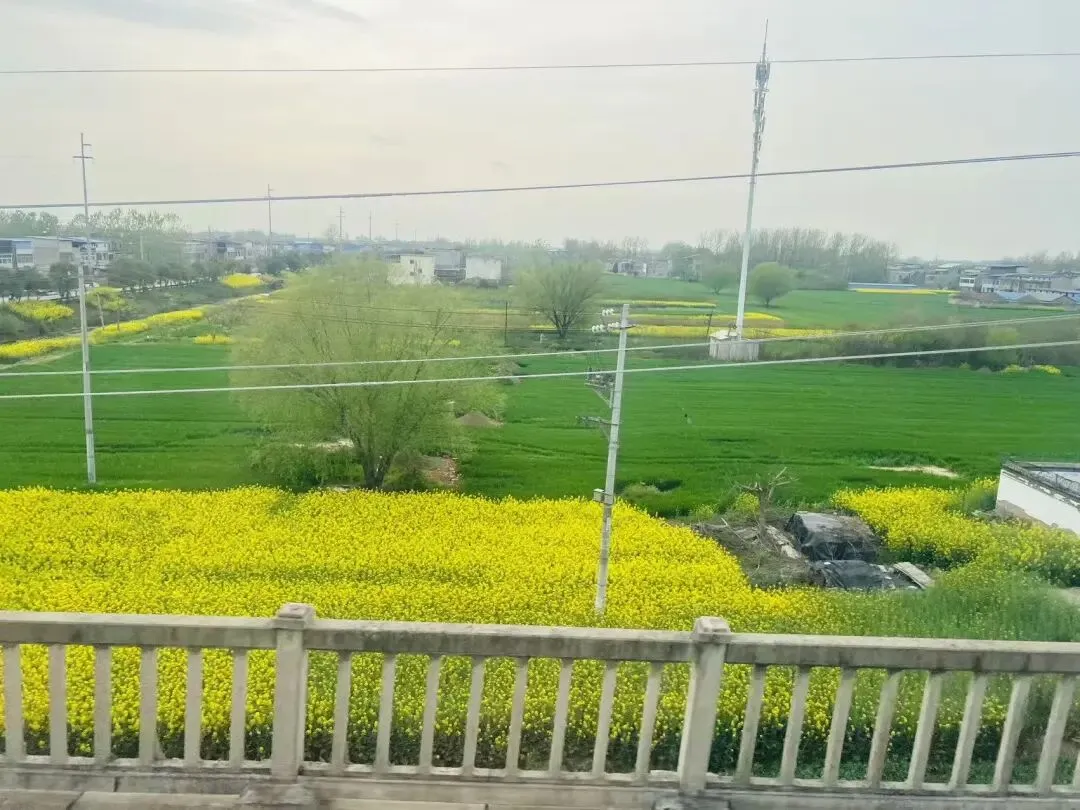 距中考72天丨张雪机车狂飙,给2026中考生的4个“硬核”启示 第2张