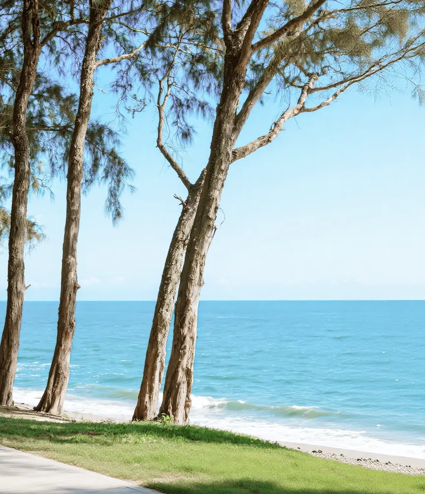 最后12天,真题应该这样刷 第7张