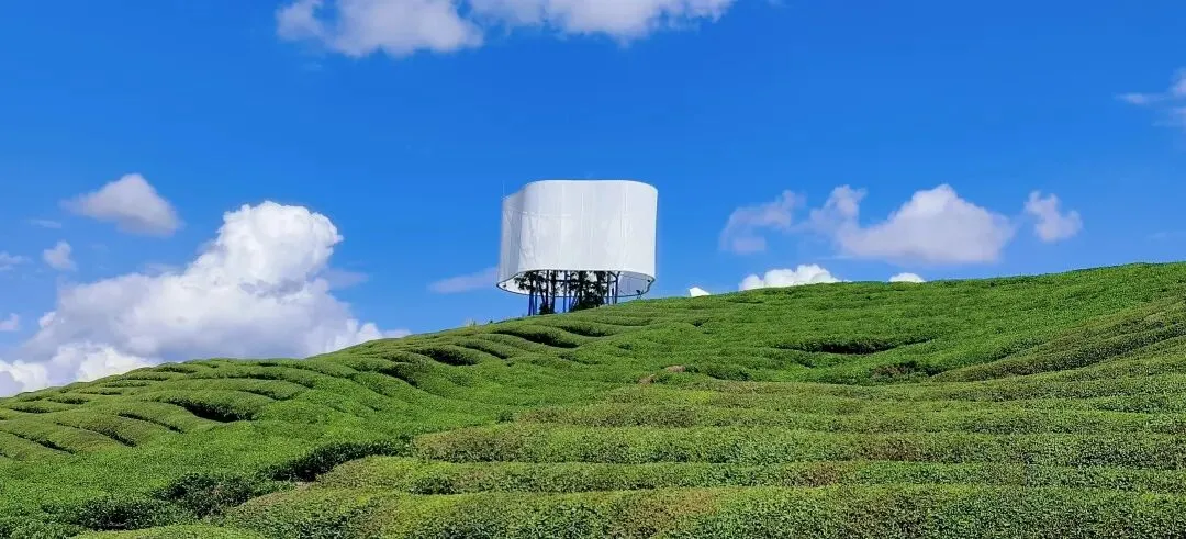 最后12天,真题应该这样刷 第11张