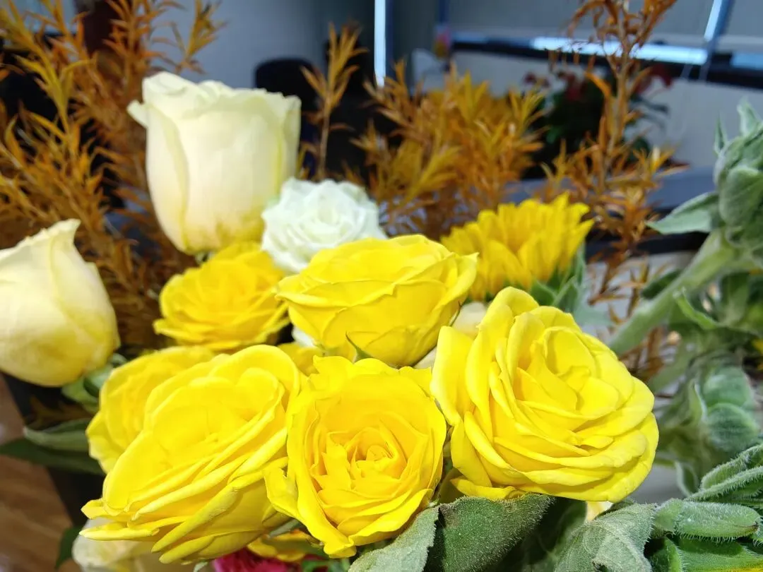 最后12天,真题应该这样刷 第13张