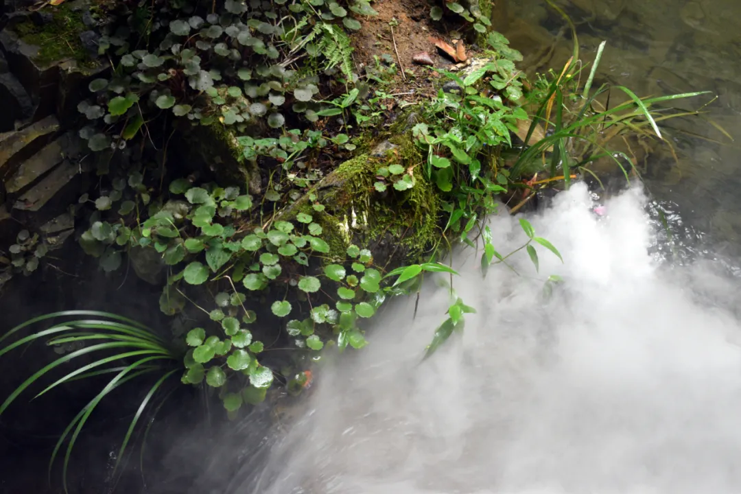 最后12天,真题应该这样刷 第16张