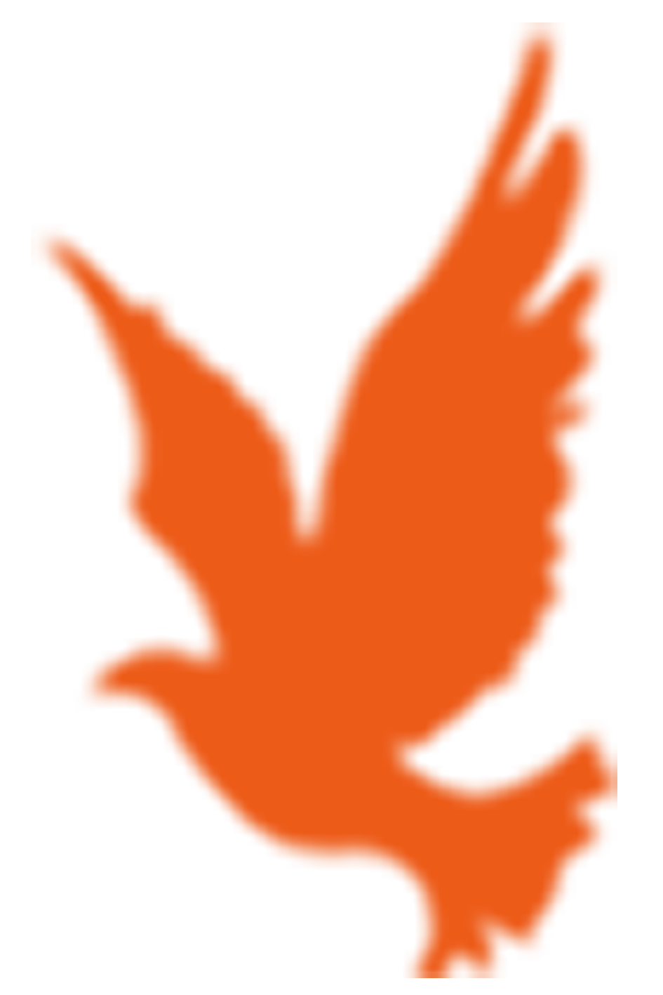 决胜中考,再夺桂冠——记2026届中考备考指导讲座 第10张