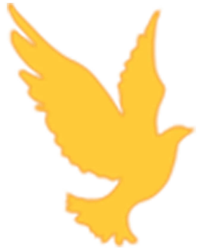 决胜中考,再夺桂冠——记2026届中考备考指导讲座 第44张