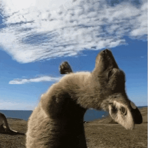 【26真题分析】人大850国家安全学大类综合:题型特征与命题解析 第38张