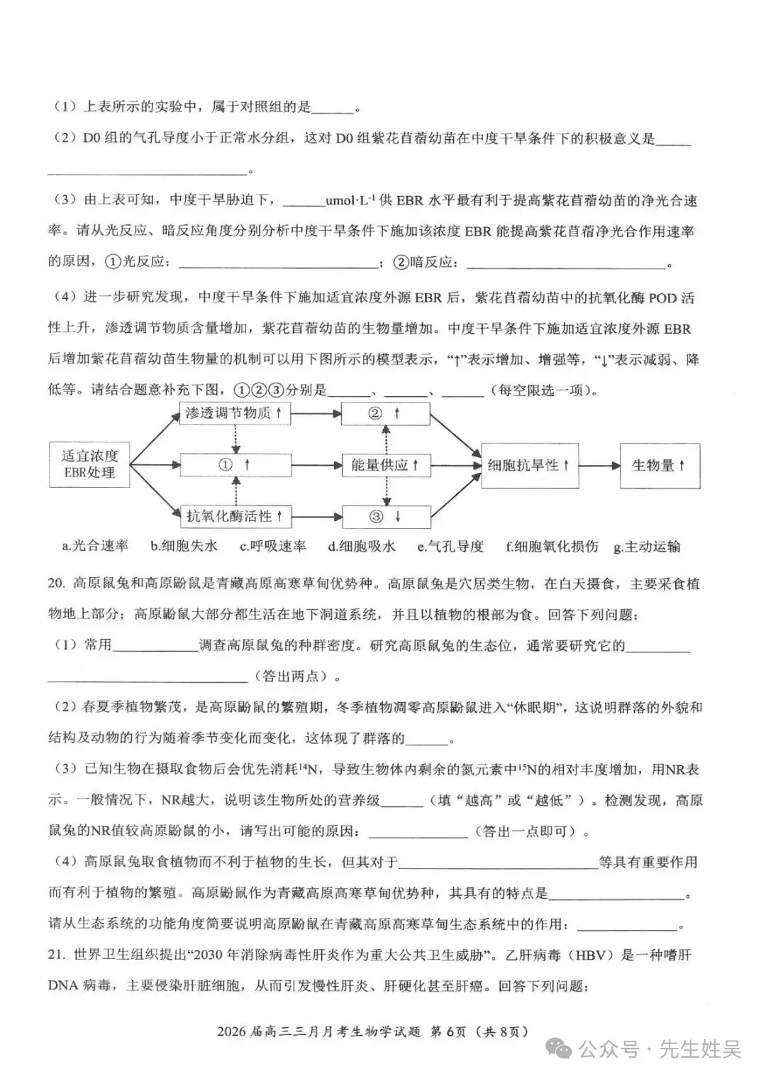 湖北省2026届高三十一第二次联考生物试卷及答案 第6张
