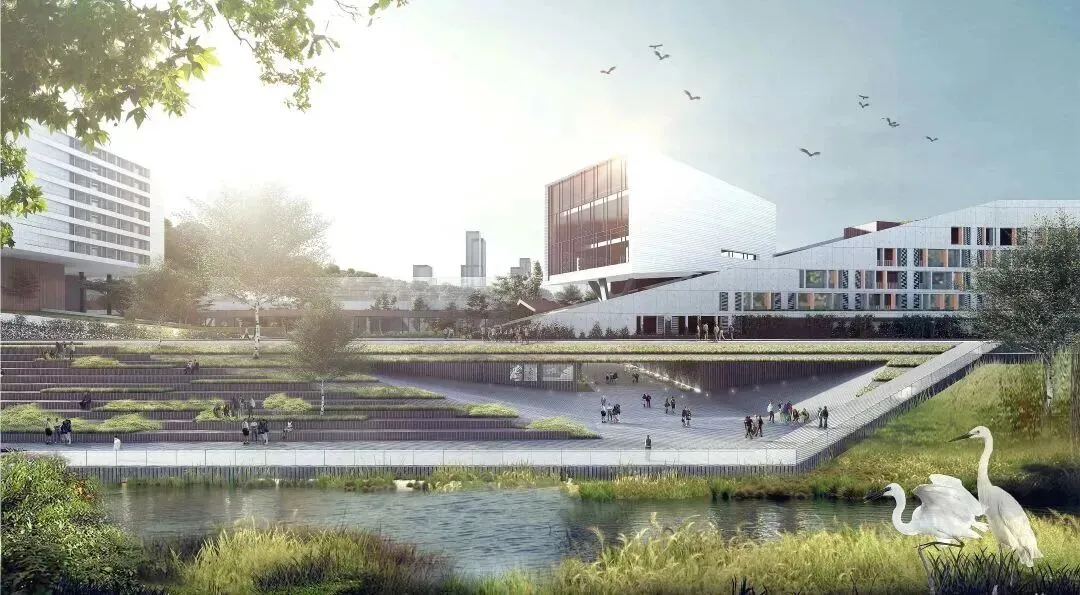 新增学位或超800!2026深圳中考再增一所新高中! 第4张