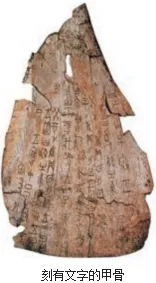 2026年河南中考第一次模拟考试历史试卷 第10张 2026年河南中考第一次模拟考试历史试卷 第10张