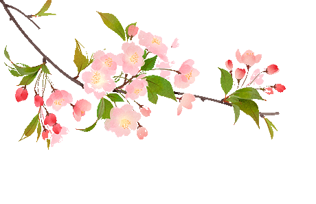 凝心聚力促提升 家校携手备中考 ——临沂沂州实验学校八年级召开地生分层家长会 第6张