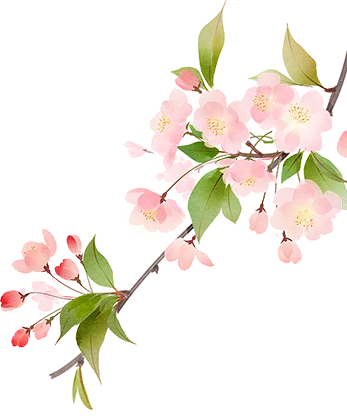 凝心聚力促提升 家校携手备中考 ——临沂沂州实验学校八年级召开地生分层家长会 第7张