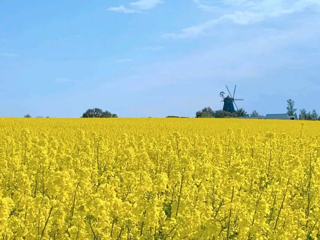高铁上的试卷,江苏小孩的悲哀 第3张 高铁上的试卷,江苏小孩的悲哀 第3张