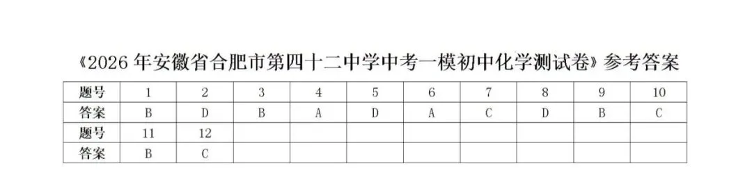 合肥四十二中2026中考一模物理、化学试卷 第12张