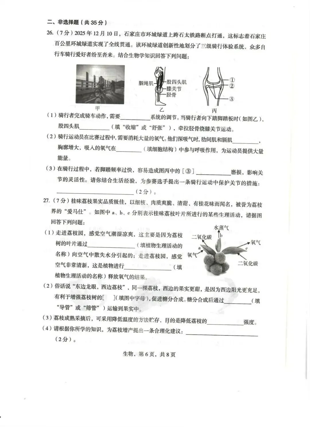 2026年正定县八年级生物一模试卷 第6张