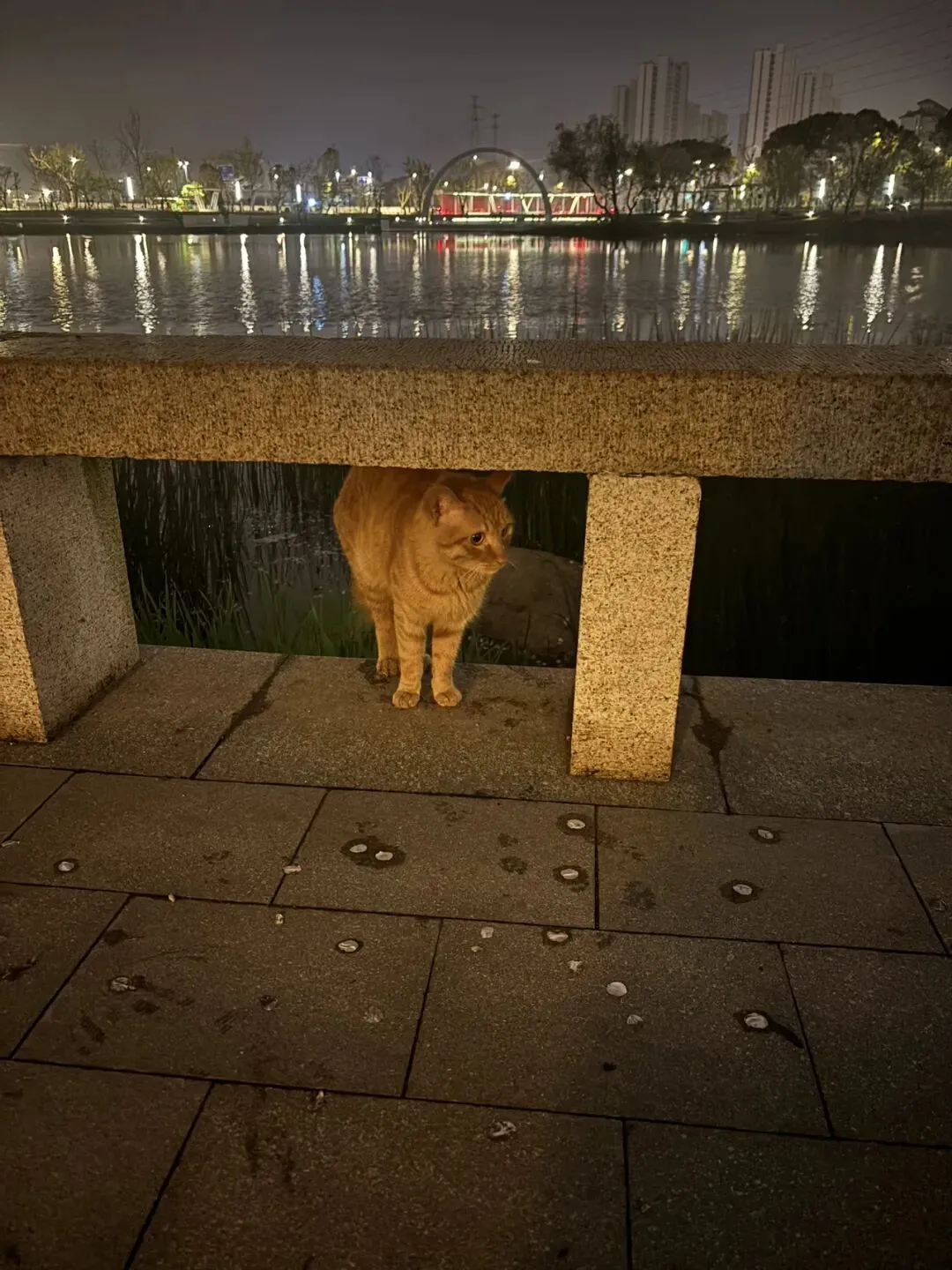 女儿中考倒计时76天—总算到真正的周五了 第3张 女儿中考倒计时76天—总算到真正的周五了 第3张