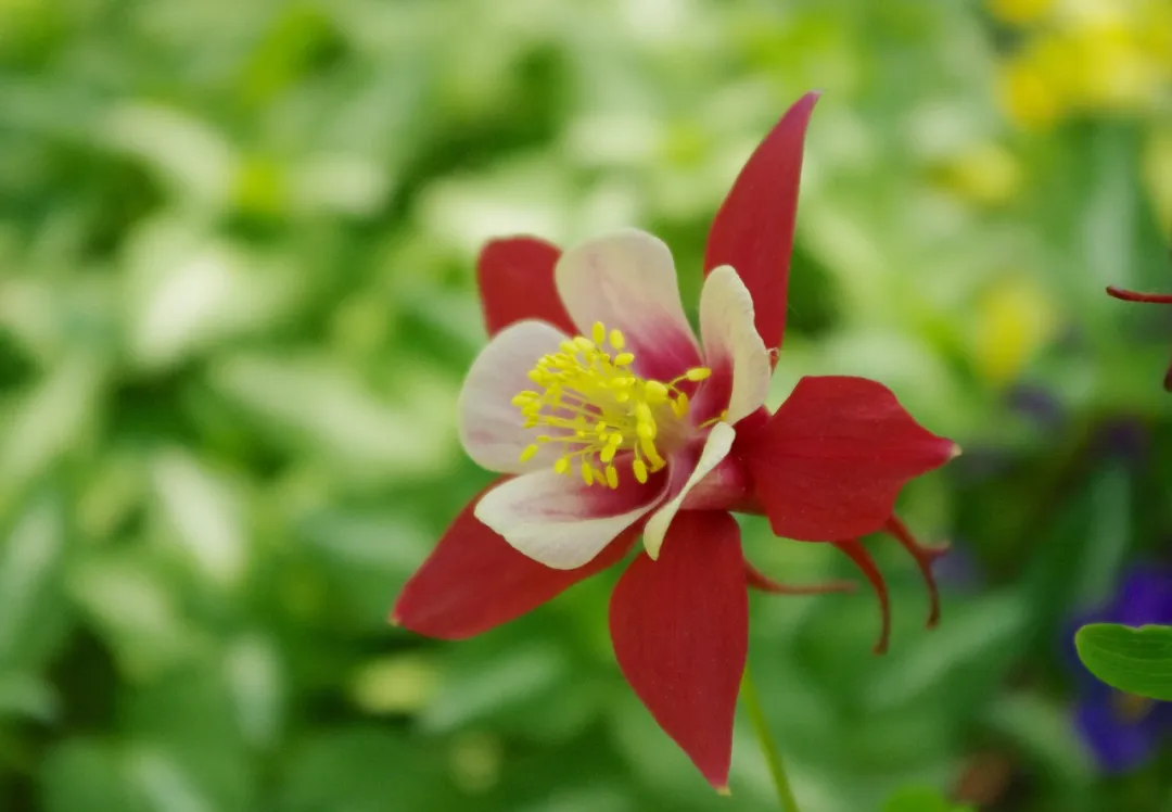 中考倒计时,数学第一名是怎么复习的? 第5张