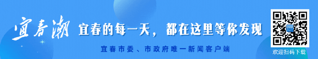 2027年开始!地理生物不计入宜春中考总分 第1张 2027年开始!地理生物不计入宜春中考总分 第1张