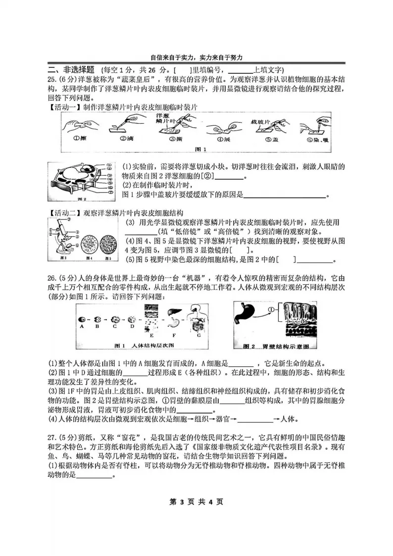 2026萧红中学八下生物3月月考试卷及答案 第3张