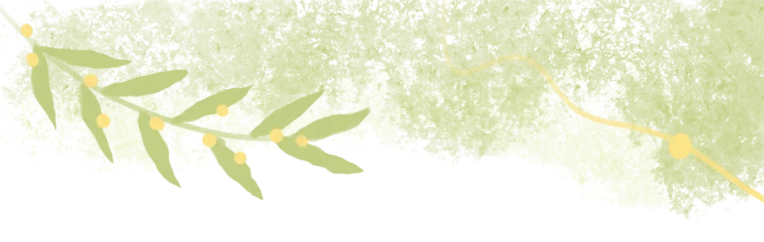 争分秘籍|2026年中考作文模拟金题及思路点拨 第13张