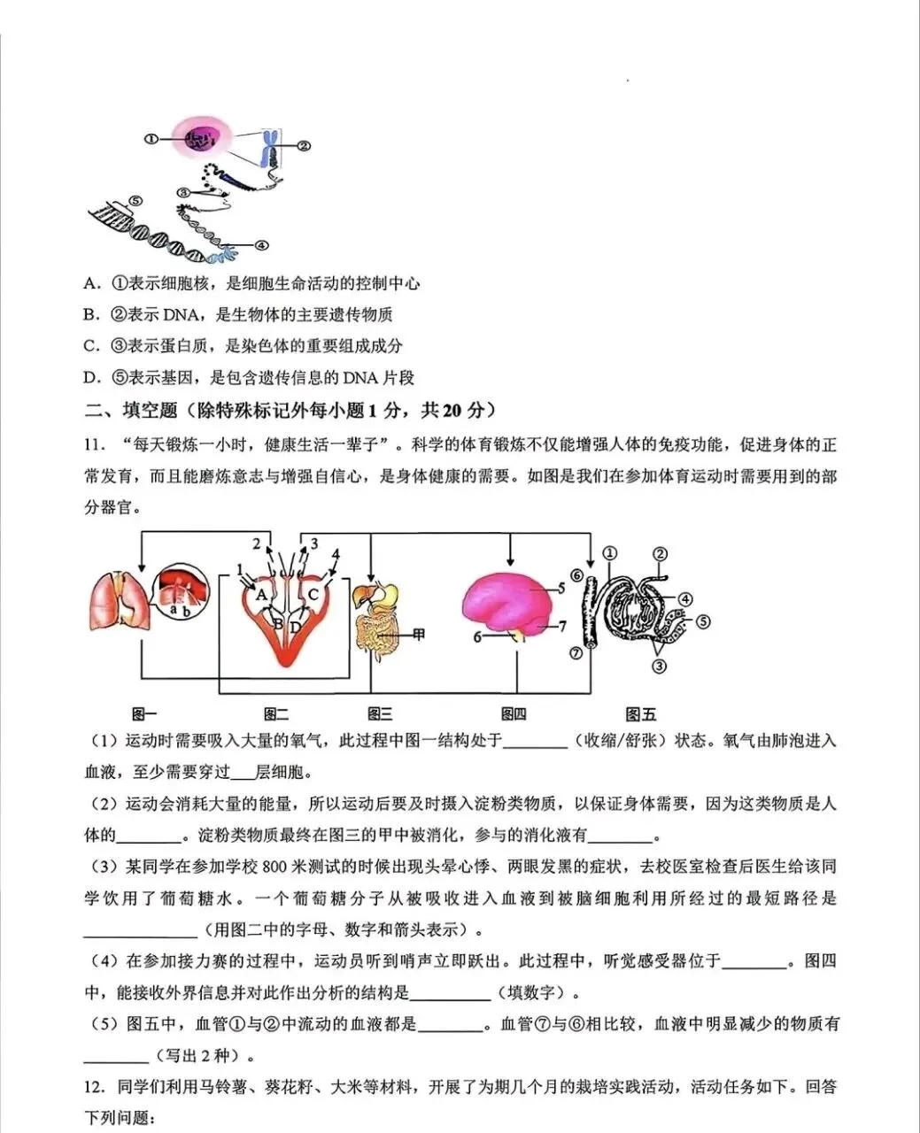 2026年赤峰市松山区中考模拟试卷地理、生物(含答案) 第8张