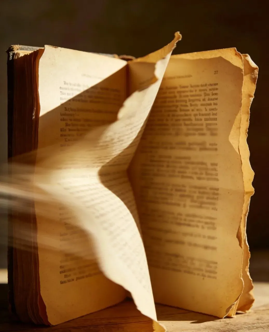 放过自己吧:人生不是试卷,不必每题都答对 第2张