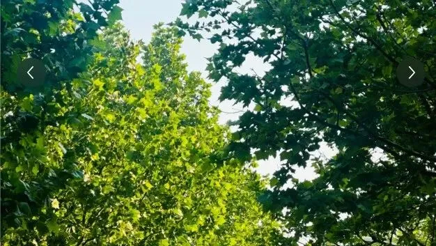 【历年真题】重点985~中国石油大学-工程热力学-来袭,收藏! 第14张