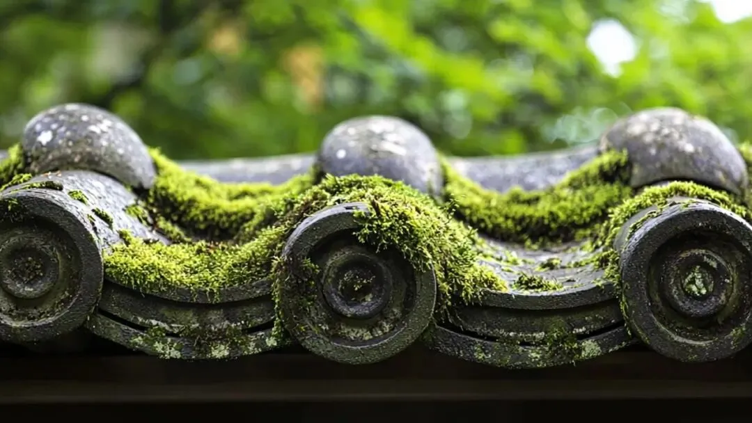 【21校】2026春季一模联考作文真题拆解 第16张 【21校】2026春季一模联考作文真题拆解 第16张