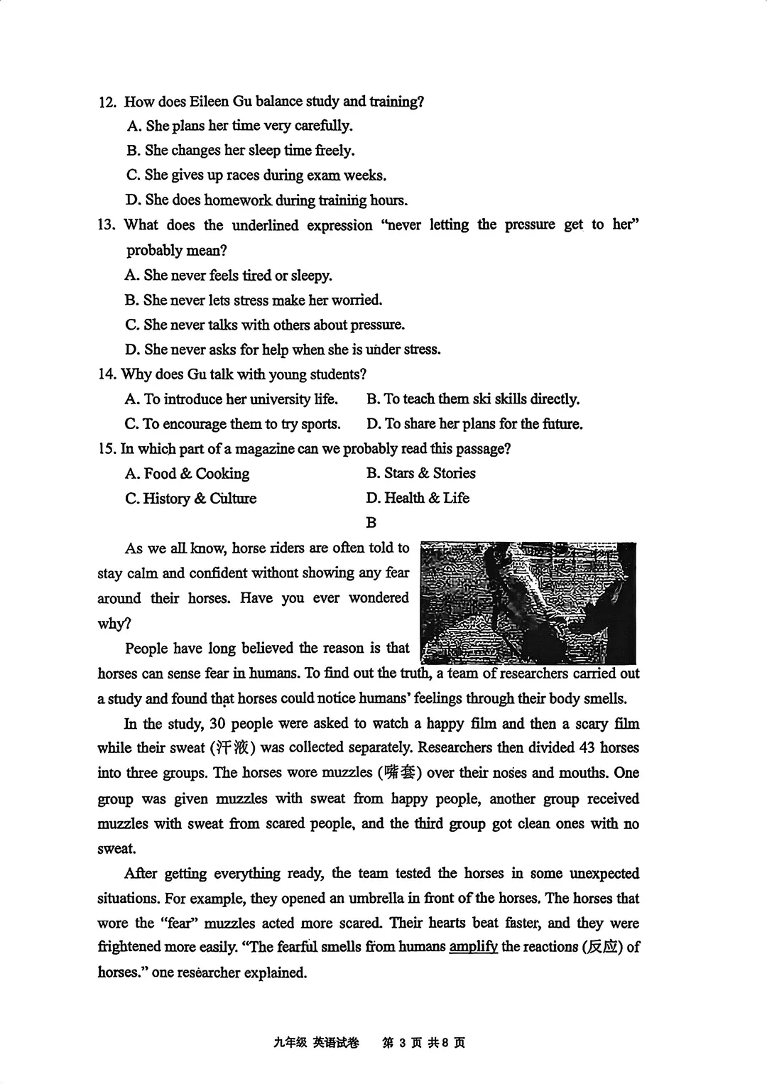 孩子一模排位在哪?深中初中部一模真题+多校等级线参考,马上对照! 第15张