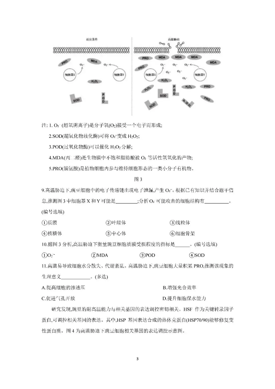 2026届上海市浦东新区高三二模生物试卷(含答案) 第3张