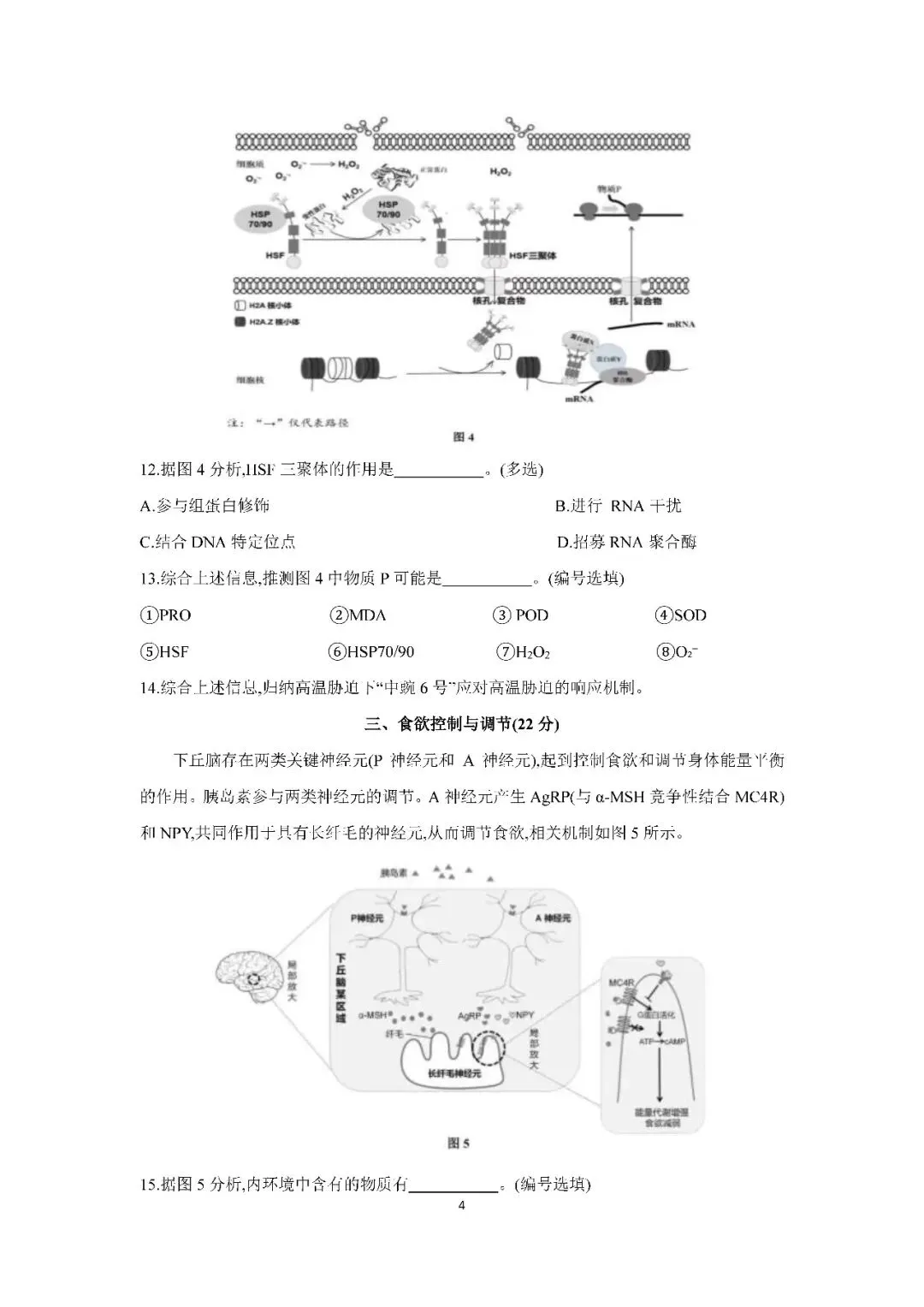 2026届上海市浦东新区高三二模生物试卷(含答案) 第4张